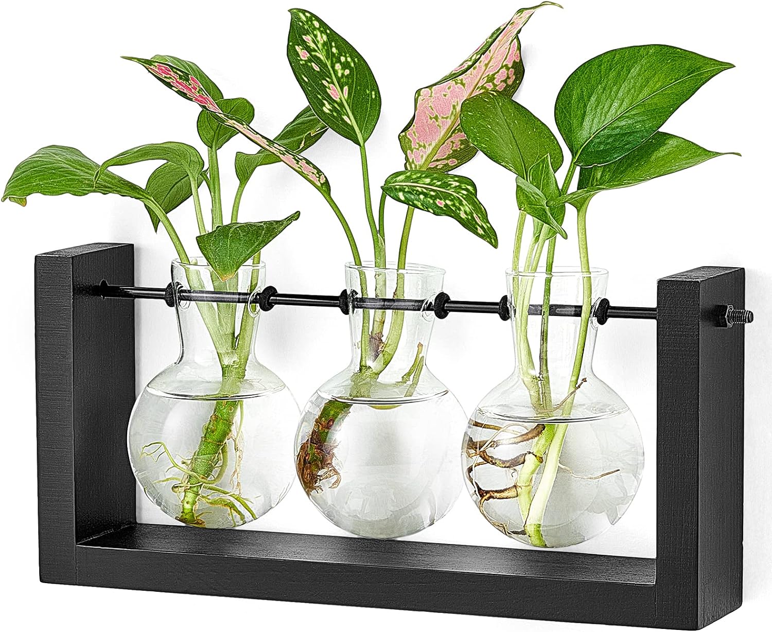 Mkono Plant Terrarium with Wooden Stand, Wall Hanging Glass Planter Desktop Plant Propagation Vase with Metal Swivel Retro Rack for Hydroponics Plants Home Office Decor (3 Bulb Vase)