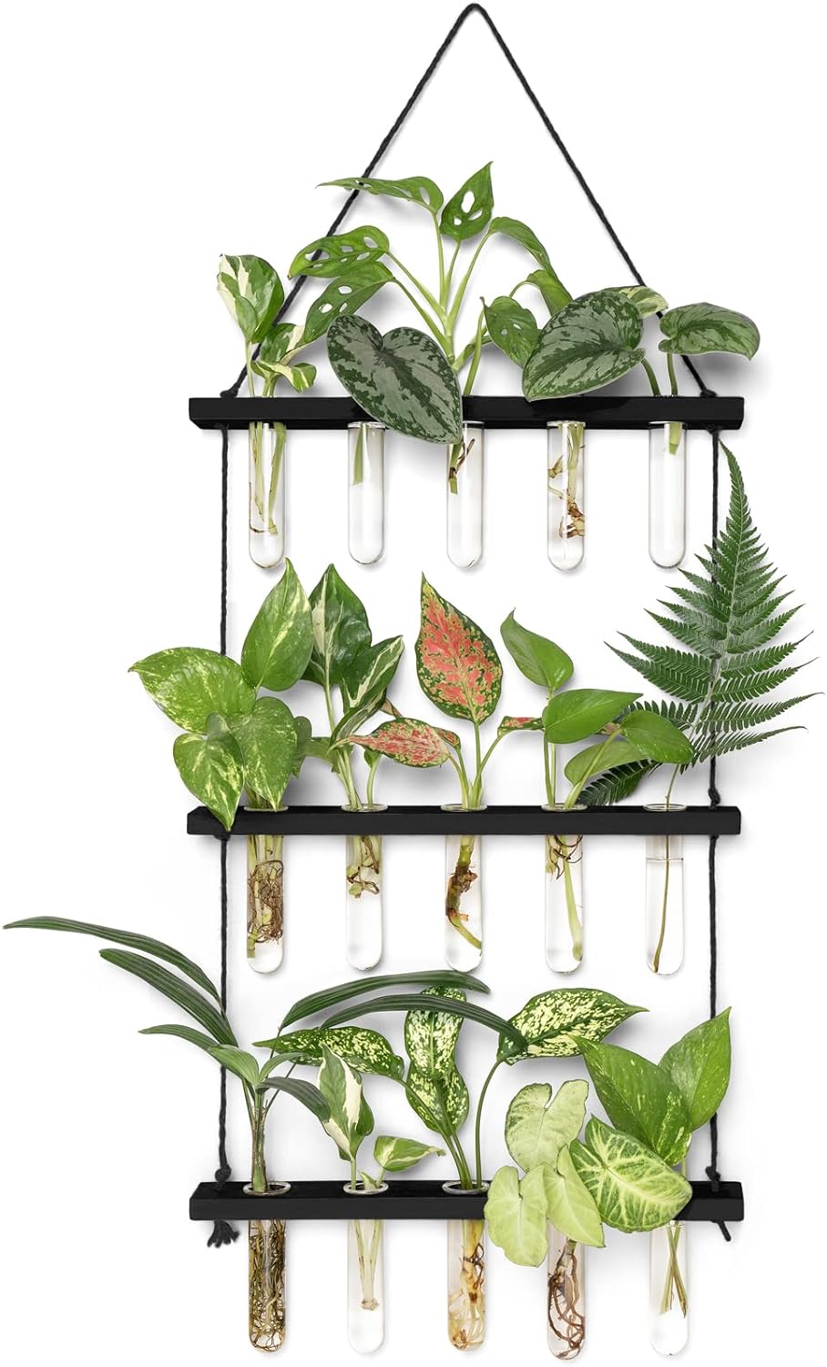 Mkono Plant Propagation Tubes, 3 Tiered Wall Hanging Plant Terrarium with Wooden Stand Mini Test Tube Flower Vase Glass Planter for Hydroponic Plant Cutting Home Garden Office Decor Plant Lover Gift