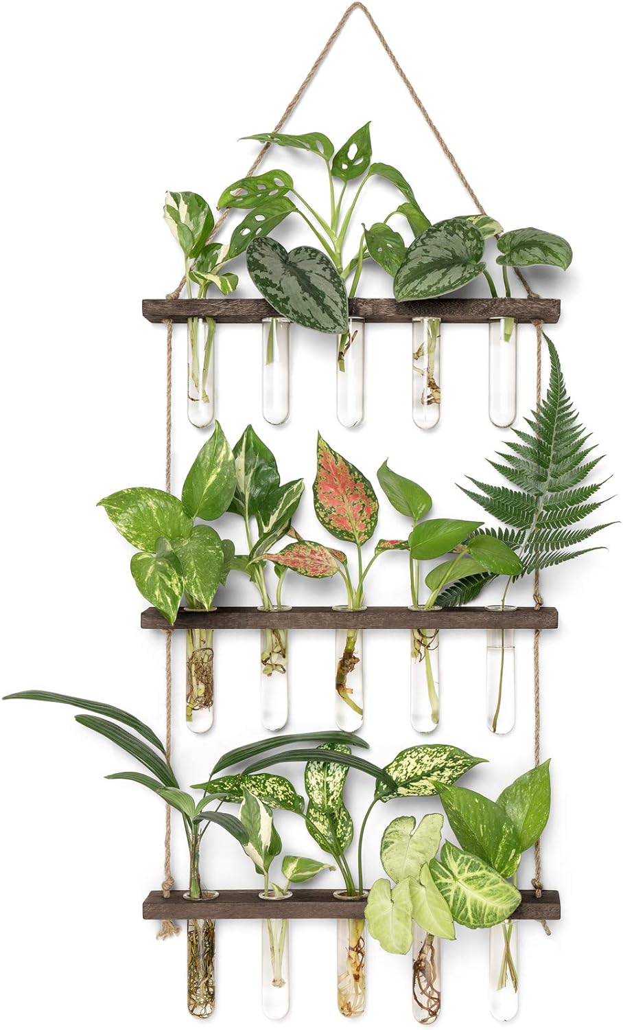 Mkono Plant Propagation Tubes, 3 Tiered Wall Hanging Terrarium with Wooden Stand Mini Test Tube Flower Vase Glass Planter Stations for Hydroponic Cutting Home Garden Office Decor Plant Lover Gift