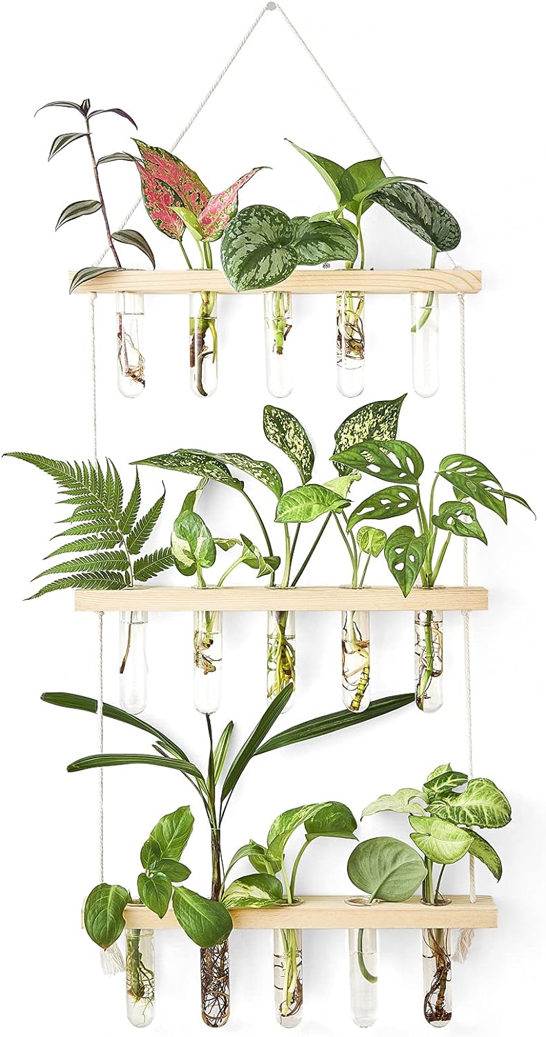 Mkono Plant Propagation Mini Test Tubes, 3 Tiered Wall Hanging Plant Terrarium with Wooden Stand Flower Vase Glass Planter for Hydroponic Plant Cutting Home Garden Office Decor Plant Lover Gift