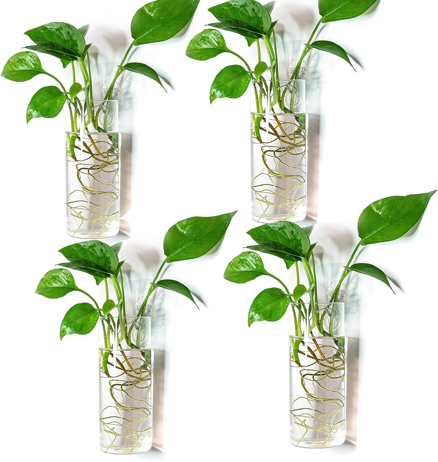 Kingbuy Wall Planter Terrarium Plant Propagation Station Glass Wall Vase for Home Kitchen Windowsill Decor, Plant Lover Gifts, Clear Medium Cylinder, 4 Pack