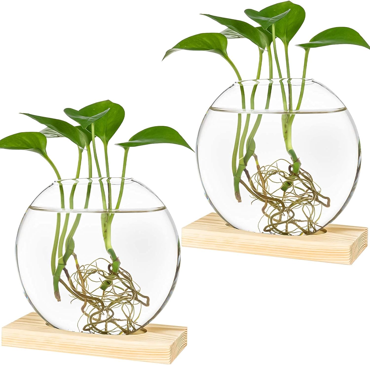 Kingbuy Desktop Round Glass Planter Terrarium Flower Vase with Wooden Stand for Propagation Hydroponic Water Plants Home Office Decor, 2 Pack, Beige