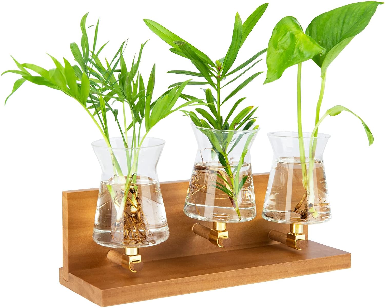 Plant Terrarium Glass Planter with Wooden Stand Air Plant Propagation Stations with 3 Bulb Vase for Hydroponic Plants Desktop Decor for Home, Office, or Gardening Gifts for Women