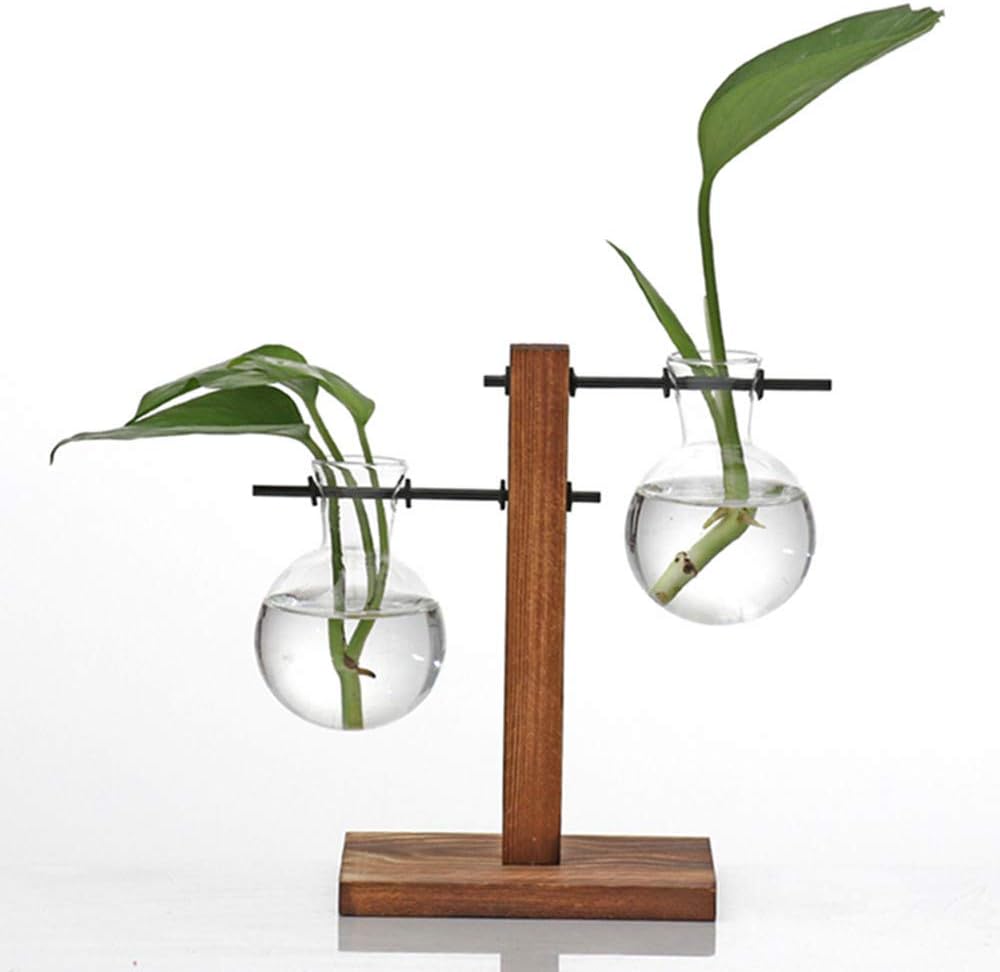 Kingbuy Hydroponic Glass Vase Vintage Desktop Plant Terrarium Planter Bulb Vase Water Planting Propagation Vase Planters Hydroponics Plants with Retro Wooden Stand Home Garden.