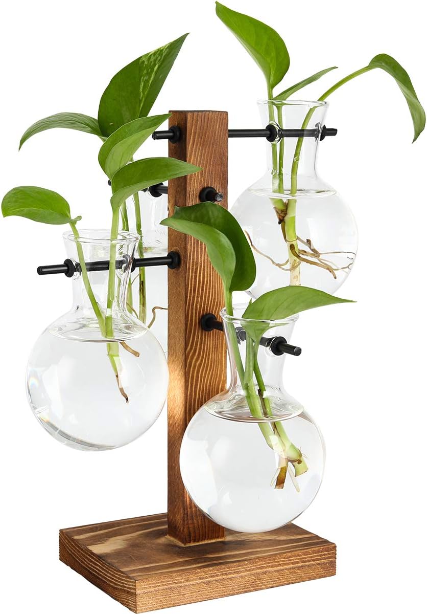 PAG Plant Terrariums Kit Desktop Hydroponics Air Planter Holder with 4 Bulb Beaker Glass Vase and Solid Wood Stand for Home Office Decoration Gift for Women