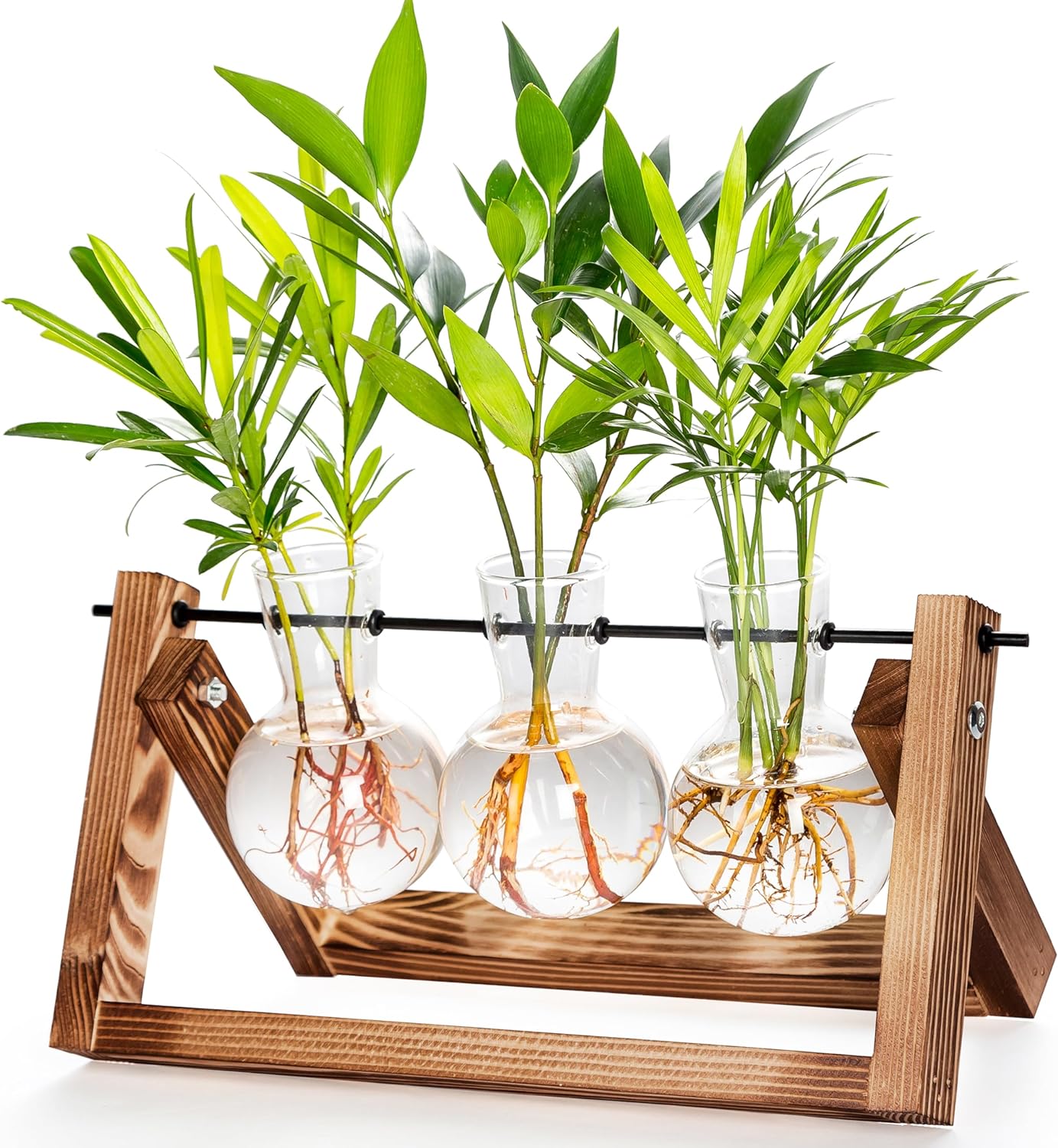 cfmour Plant Terrarium with Wooden Stand,Propagation Stations Glass Air Planter Desktop Metal Swivel Holder for Indoor Live Hydroponics Plants Office Home Garden Decor Gifts for Women(3 Bulb Vase)