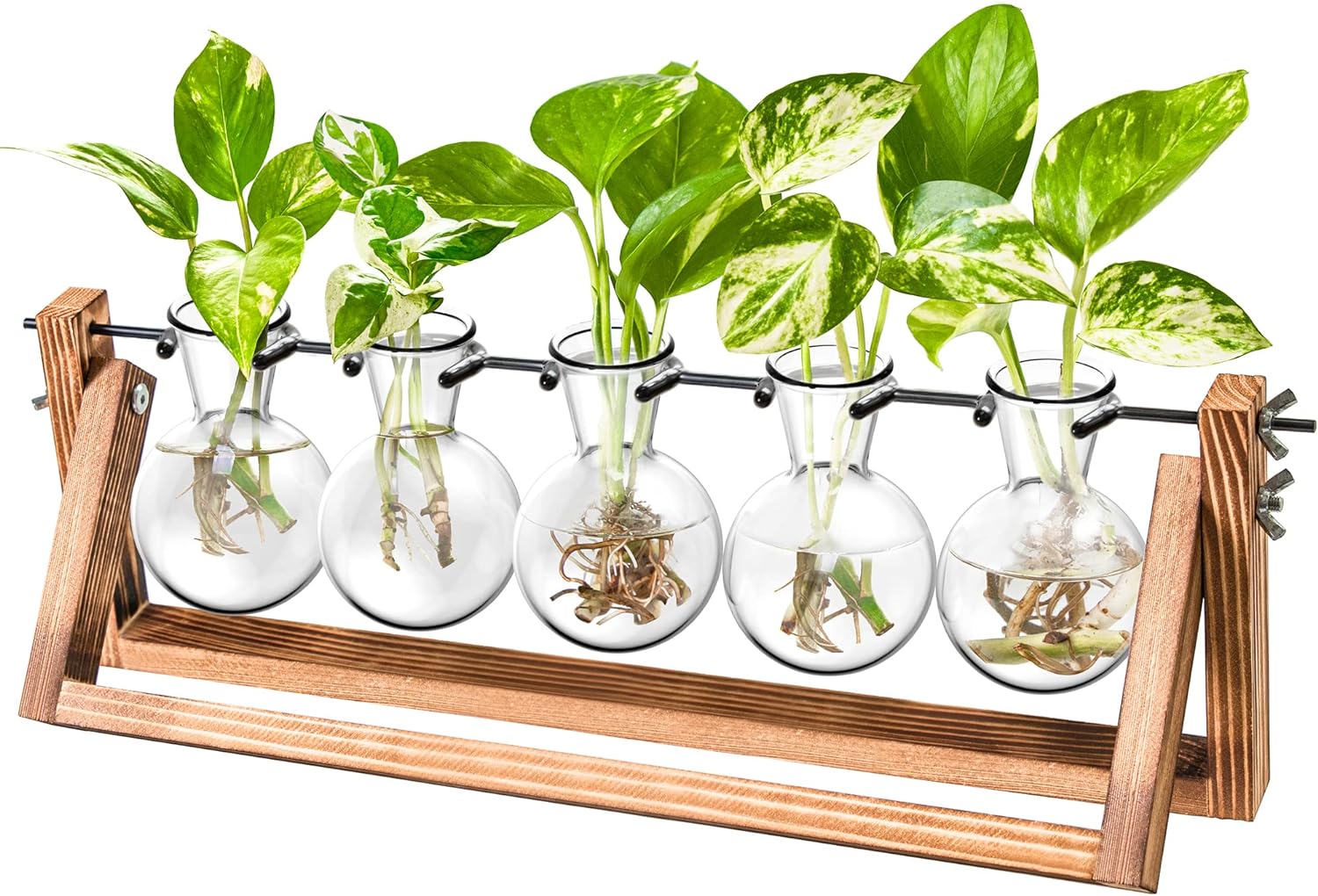 Ivolador Desktop Propagation Station, Bulb Plant Terrarium with Retro Solid Wooden Stand for Hydroponics Plants Home Garden Wedding Decor (5 Bulb-C Type)