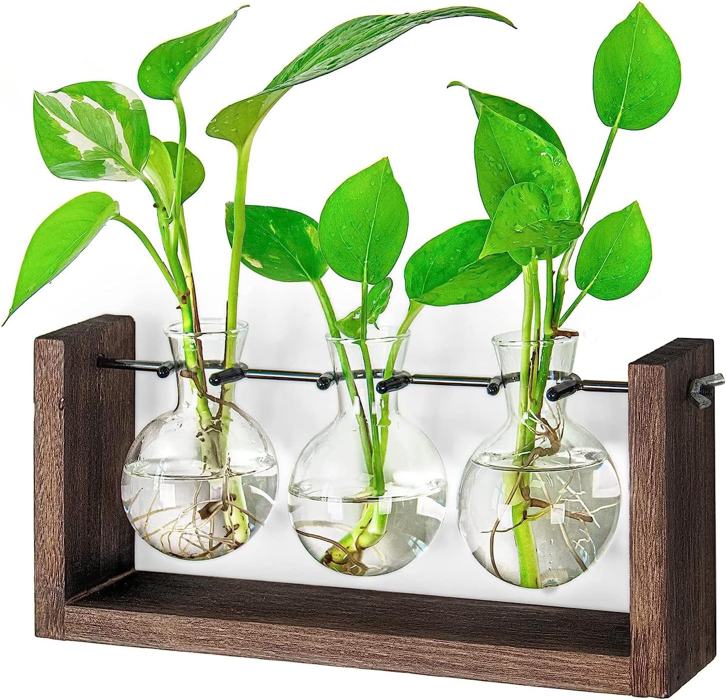 Ivolador Plant Terrarium, Wall Hanging Glass Planter with Wooden Stand Tabletop Propagation Station with Metal Swivel Holder Retro Rack 3 Bulb Containers for Hydroponics Plants Home Office Decor