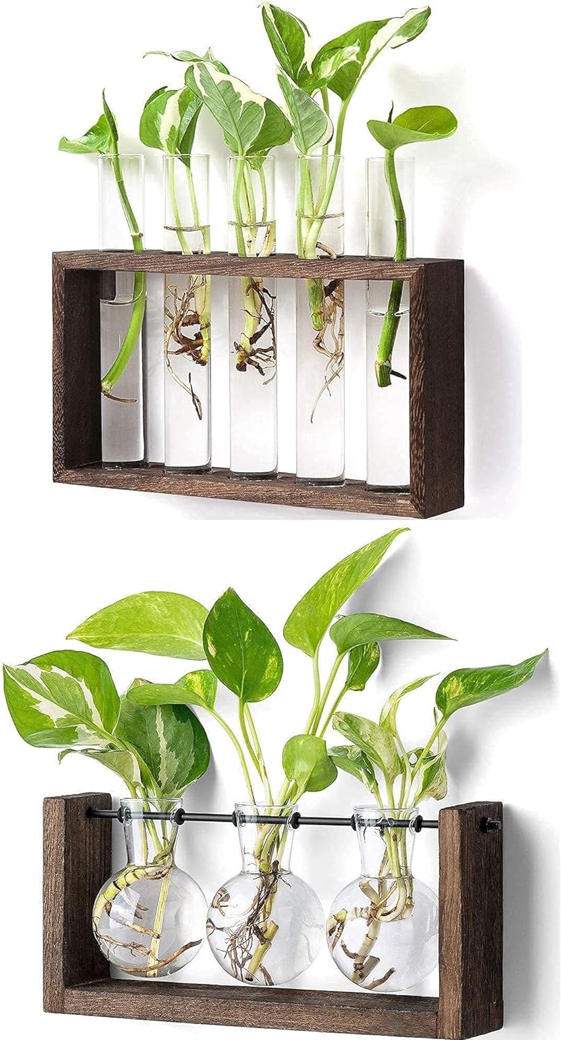 Mkono Wall Hanging Glass Planter Propagation Station Modern Flower Vase in Wood Stand Rack Tabletop Terrarium for Hydroponics Plants Home Office Decor -5 Test Tube and 3 Bulb Vase