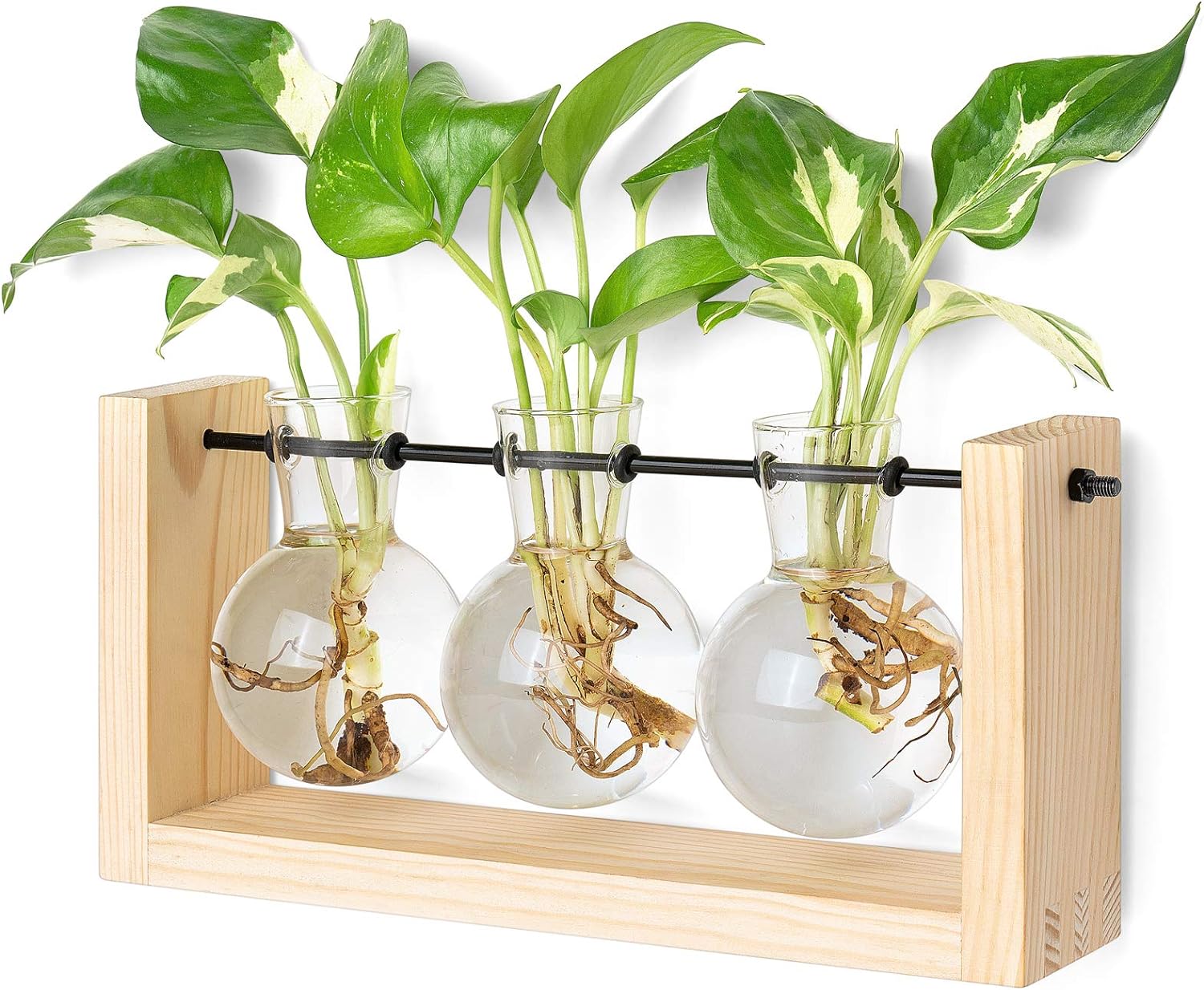 Mkono Plant Terrarium with Wooden Stand, Wall Hanging Glass Planter Desktop Plant Propagation Vase with Metal Swivel Retro Rack for Hydroponics Plants Home Office Decor (3 Bulb Vase)