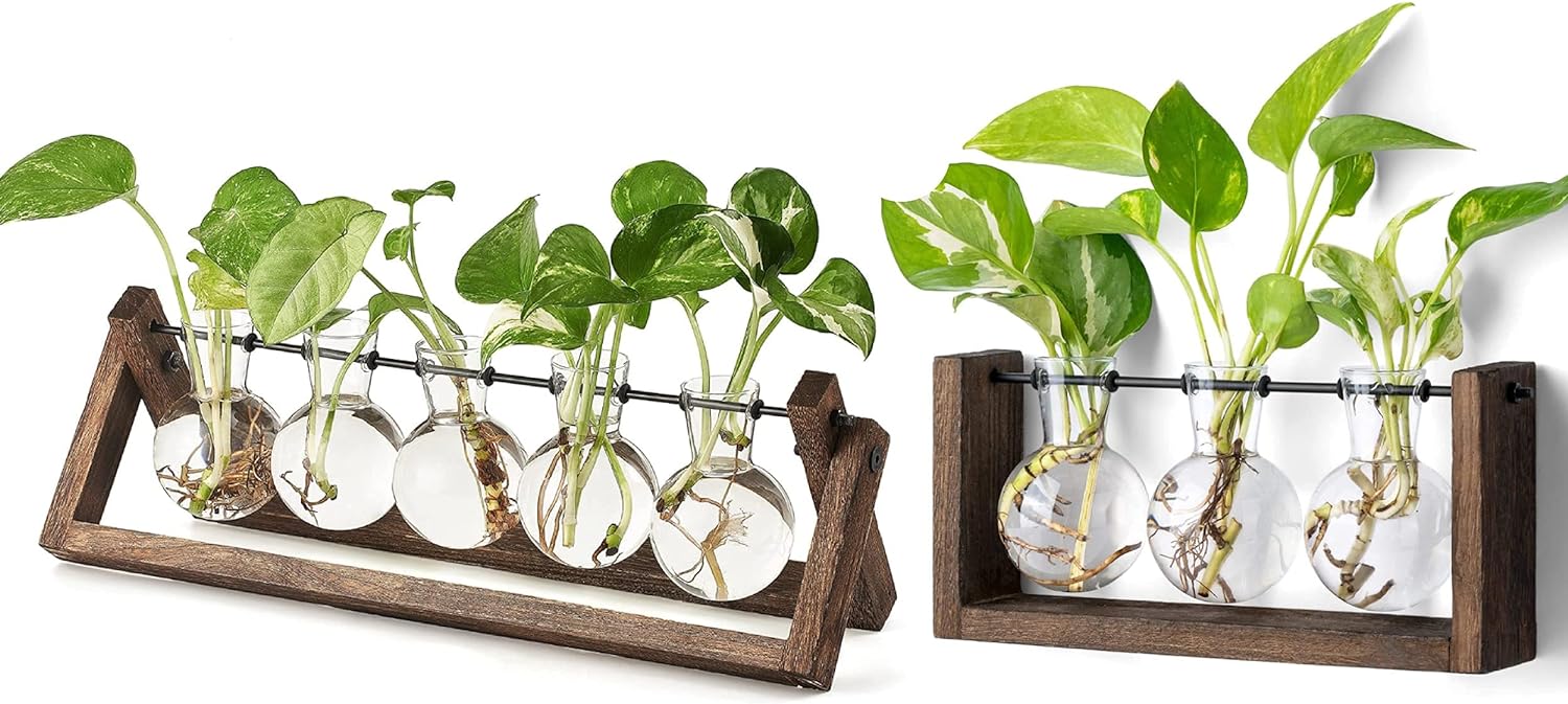 Mkono Plant Terrarium with Wooden Stand, Wall Hanging Glass Planter Desktop Flower Bulb Vase Retro Metal Swivel Holder Propagating Hydroponics Plants Pothos Home Office Garden Decor Gift Idea