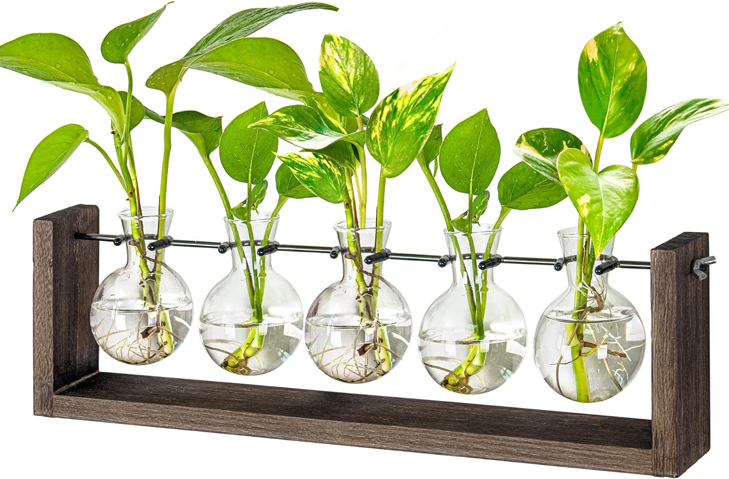 Ivolador Plant Terrarium, Wall Hanging Glass Planter with Wooden Stand Tabletop Propagation Station with Metal Swivel Holder 3 Bulb Containers for Hydroponics Plants Home Office Decor