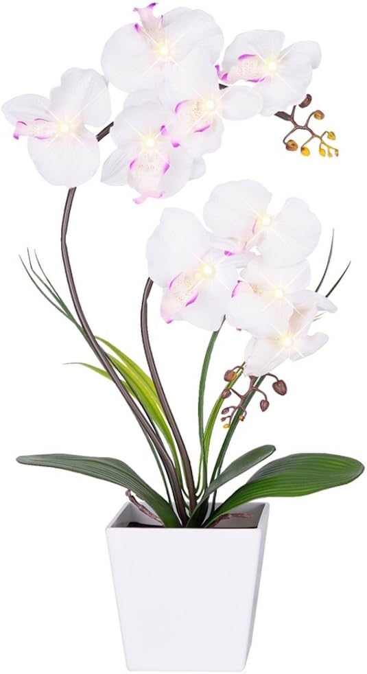 Homeseaons Orchid Lamp-LED Lighted Orchid Arrangements,Pre Lit Artificial Orchid,Light Up Flower Lights, Faux Orchid Phalaenopsis Arrangement (White)