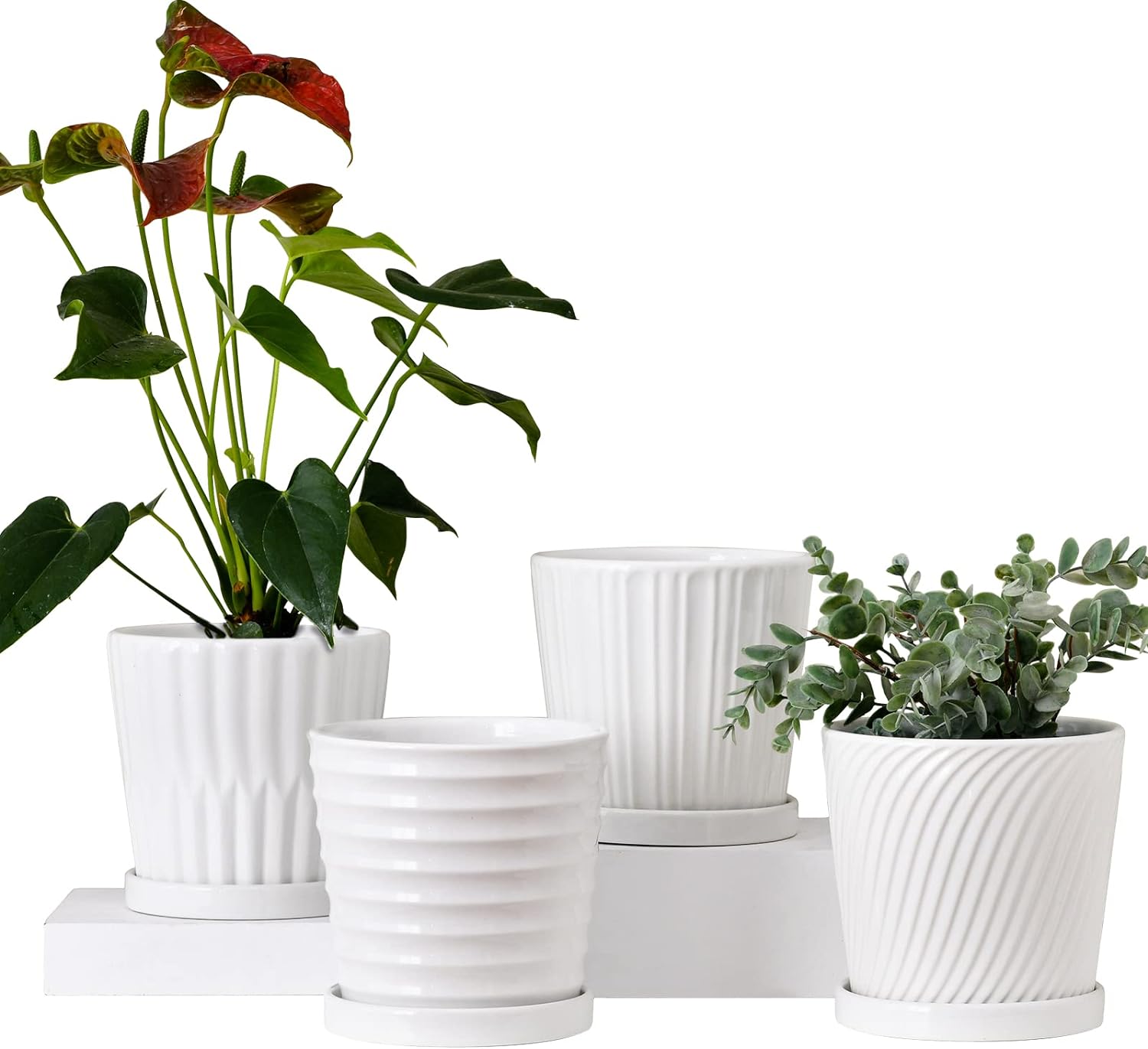 Ton Sin Plant Pots,White 6 Inch Flower Pots for Plants,Ceramic Planter with Drainage Holes,Indoor Planter Pots with Saucer,Outdoor Garden Pots (White, 4 Pack)