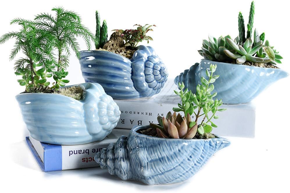 Sun-E 5.5 Inch Blue Conch Ocean Series Ceramic Base Serial Set Succulent Plant Pot Cactus Plant Pot Flower Pot Container Planter with Drainage Hole Gift Idea 4 in Set(Plants Not Included)