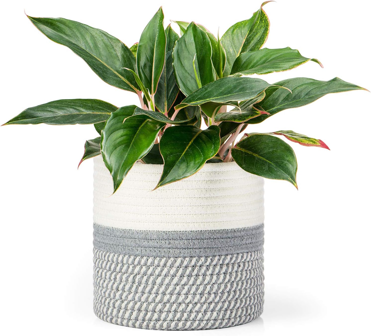 Dahey Jute Cotton Rope Plant Basket Mini Woven Storage Basket for Up to 7 Planter, 7.5 x 8 Decorative Flower Pot Cover Closet Storage Bin Table Desk Organizer Modern Home Decor, Grey